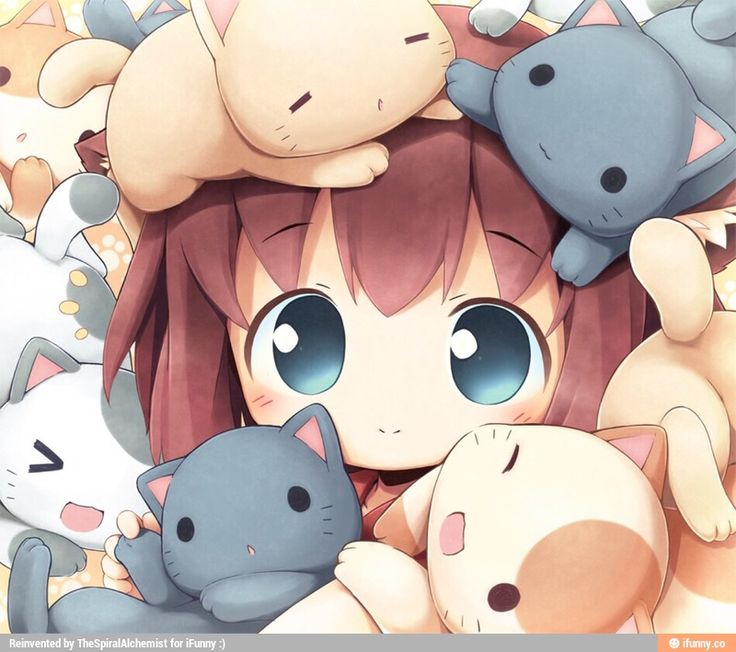 Que Tan Kawaii Eres?