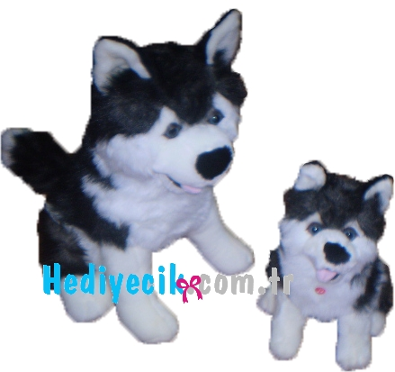 köpek