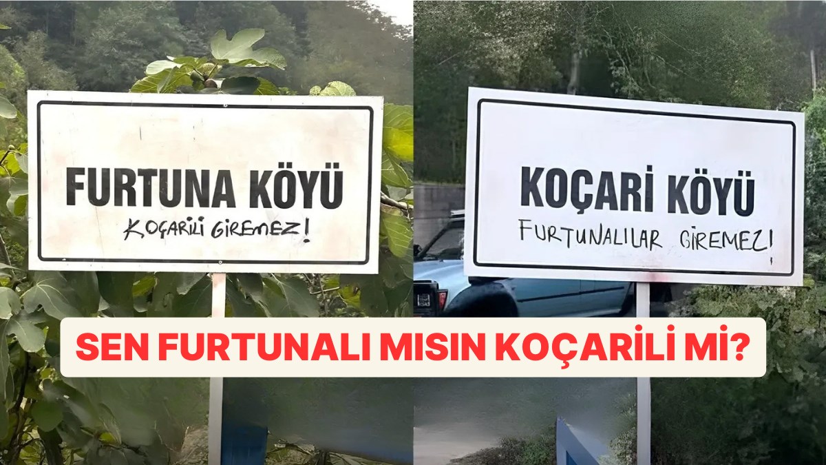 Koçari mi? Furtuna mı?