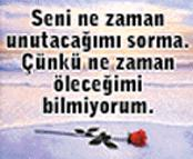 Gerçekten Seviyormusun Testi