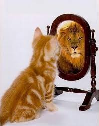 Kedi-aslan