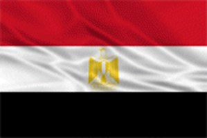 الرئيس القادم لجمهورية مصر العربية 