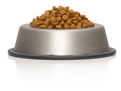dog food