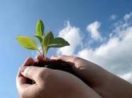 environment day