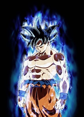 Cuanto sabes del manga de DBS?(parte 1)