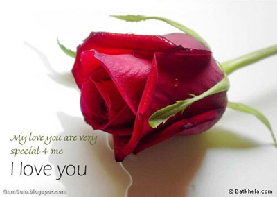 Love