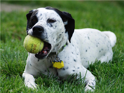 I've Got My Ball