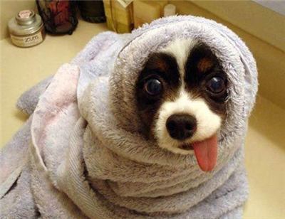 The Bath