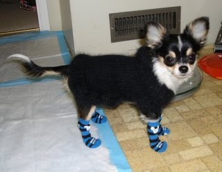 Puppy Socks