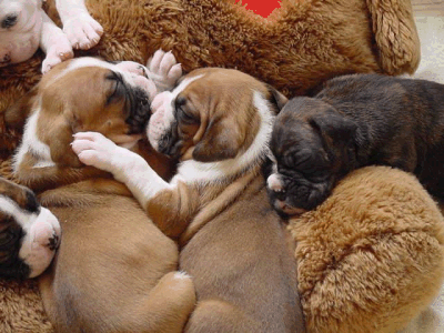 Best Friends