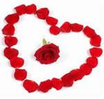 Happy Valentines Day