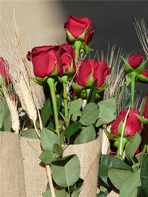 Happy Valentines day