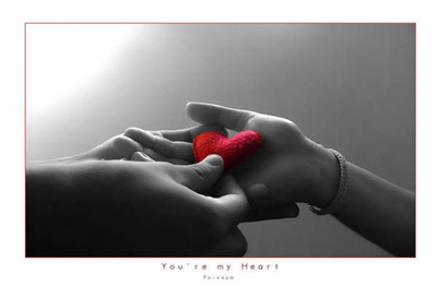 Hai preso il mio cuore