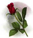 Hediye