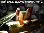 Hergün Bir Hadis