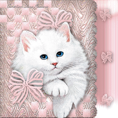 chats mignons