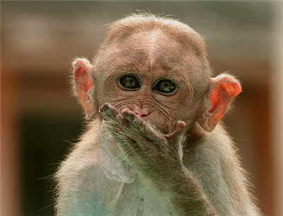 Flying Kiss