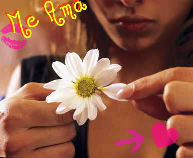 El/Ella T Quiere O Solo Es Mentira?