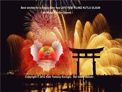 Best wishes for a Happy New Year 