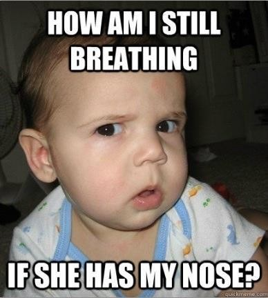 nose