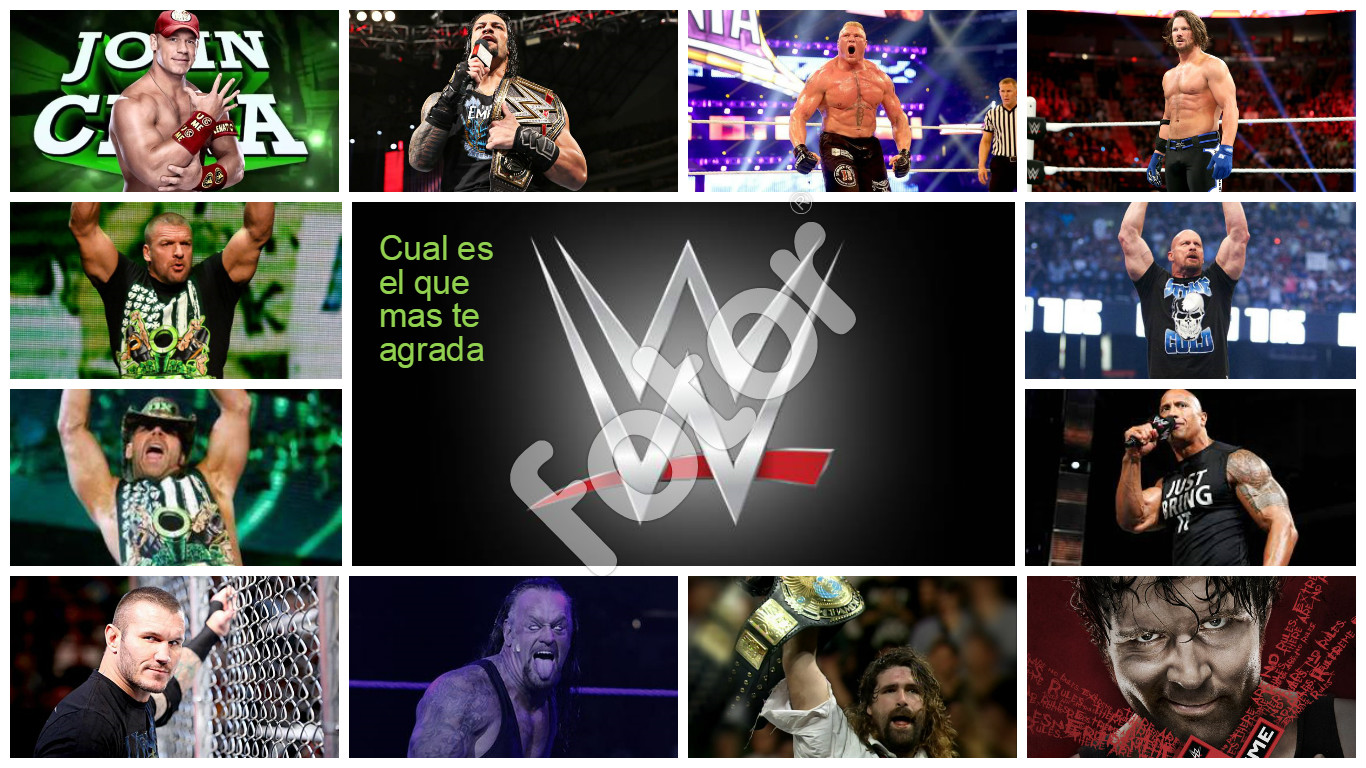 Que Luchador De Wwe Eres  (2016)