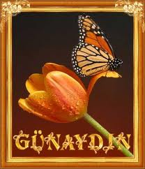 Günaydın