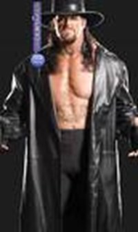 Which Wwe Wrestler Are You?