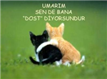 Al Hediyeni Ver Gülücügünü