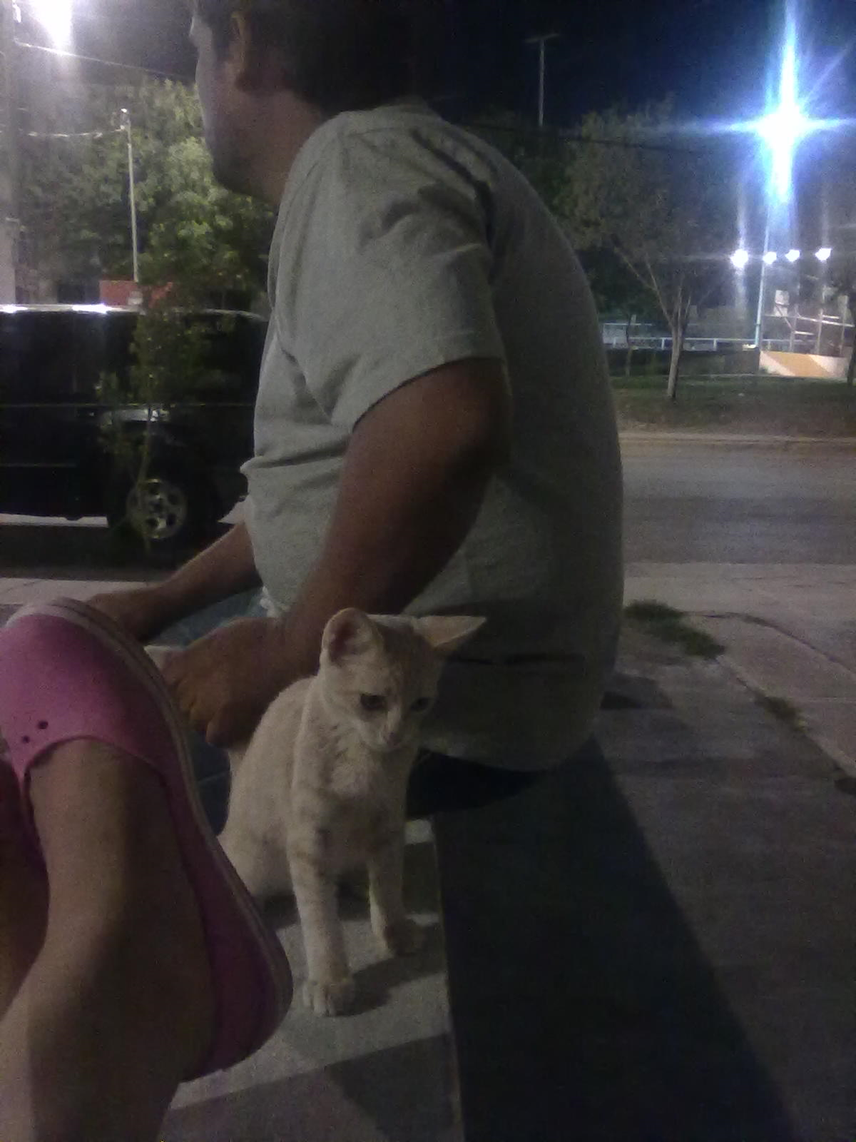 Que Tan Debil Eres?