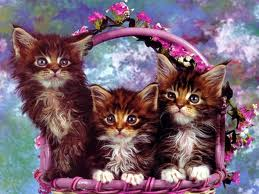 KEDİCİKLER