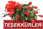 TEŞEKKÜRLER