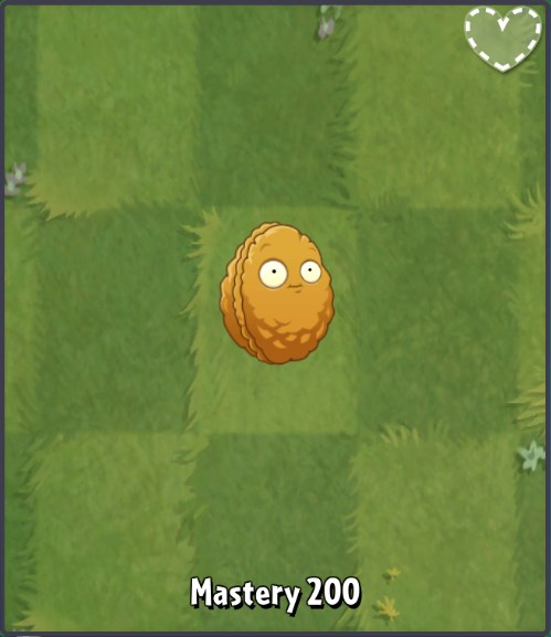 Wall Nut
