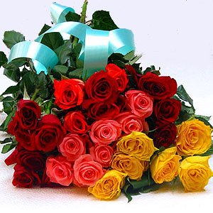 Roses