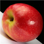 Fruit