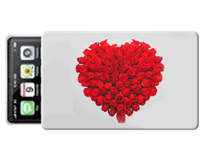 Custodia SmartPhone