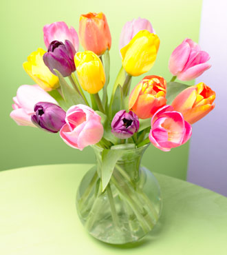 Tulipanes