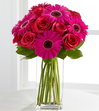 Gerberas rosadas