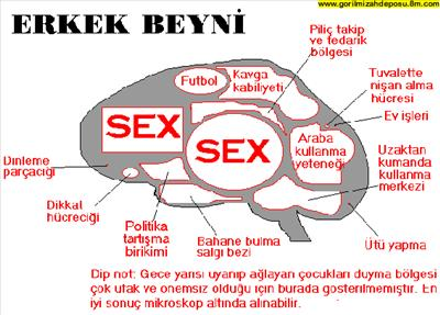 Beyninizin Cinsiyeti Ne? Merak Ediyosan Test Et :)