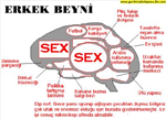 Beyninizin Cinsiyeti Ne? Merak Ediyosan Test Et :)