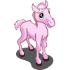 any 5 stallions