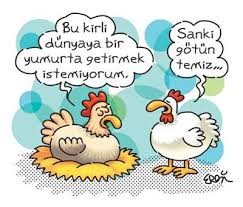 Sence Sen Bir Salakmısın?