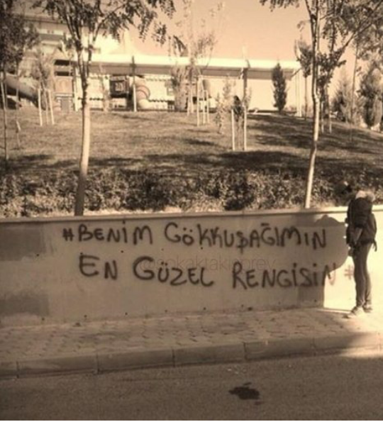 Ben Ne Seçmişimdir? 