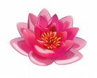 Send Peace
