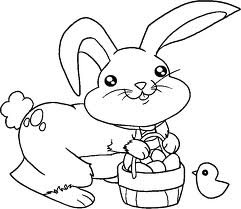 Bunny Rabbit