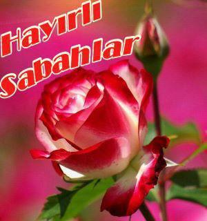 Hayırlı Sabahlar