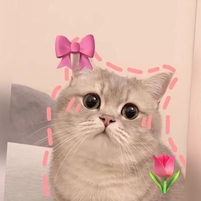 Apa yang di sukai ~syifa calista~🎀