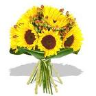 bouquett sole
