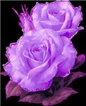 For You ;)