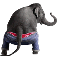 gajah