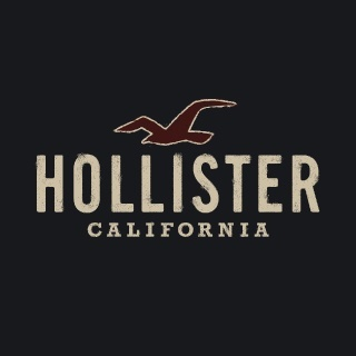 HOLLISTER